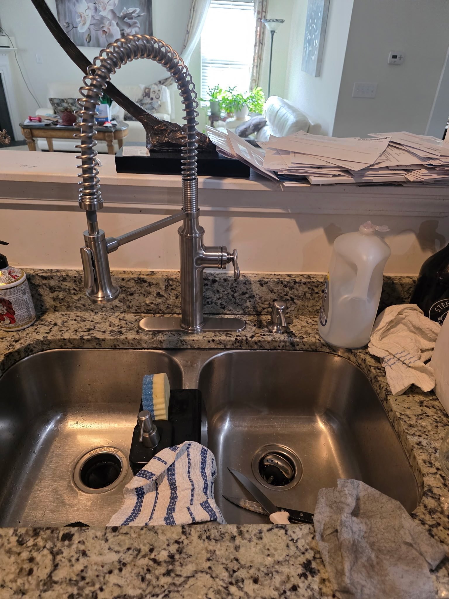Stainless steel double-bowl kitchen sink with a coiled pre-rinse style faucet on a granite counter.