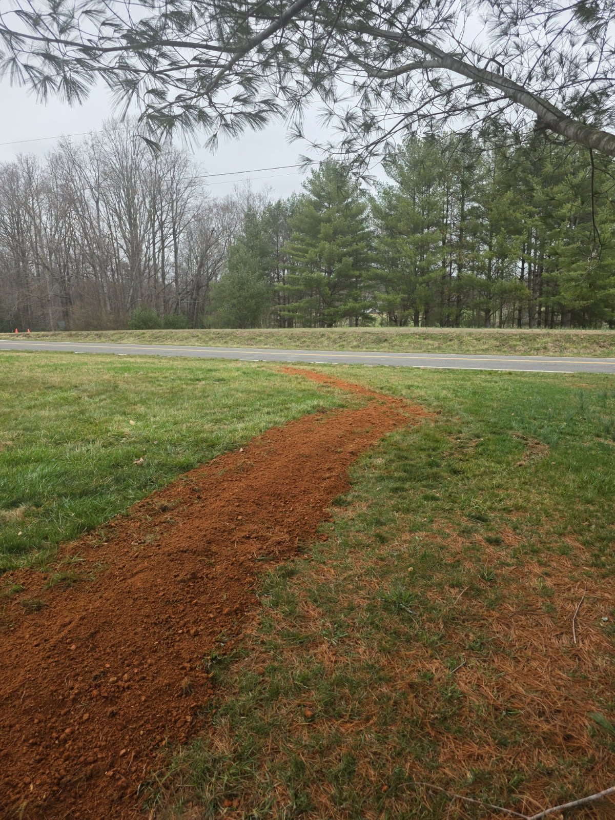 Curved trench cutting across a grassy yard near a roadway, lined with evergreen trees.